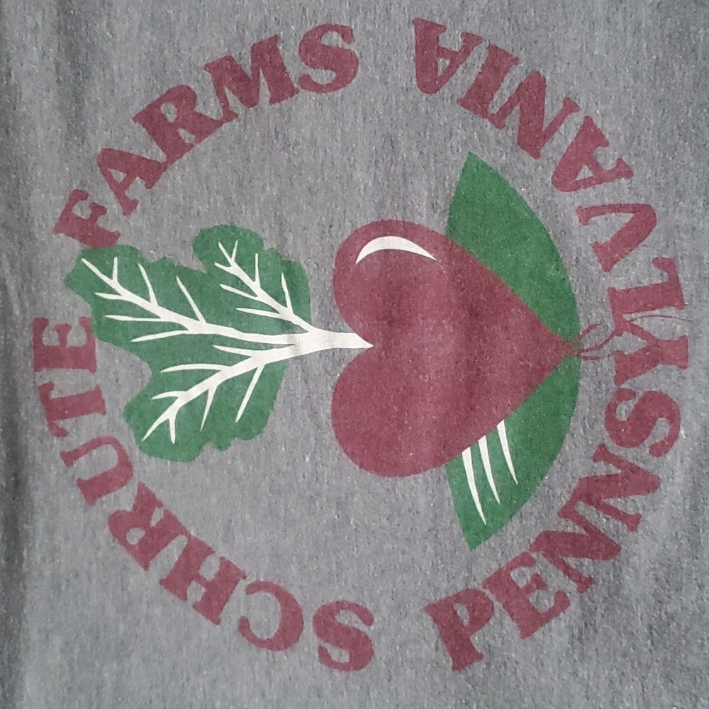 THE OFFICE | Schrute Farms Pennsylvania Gray Womens T-Shirt Size Medium